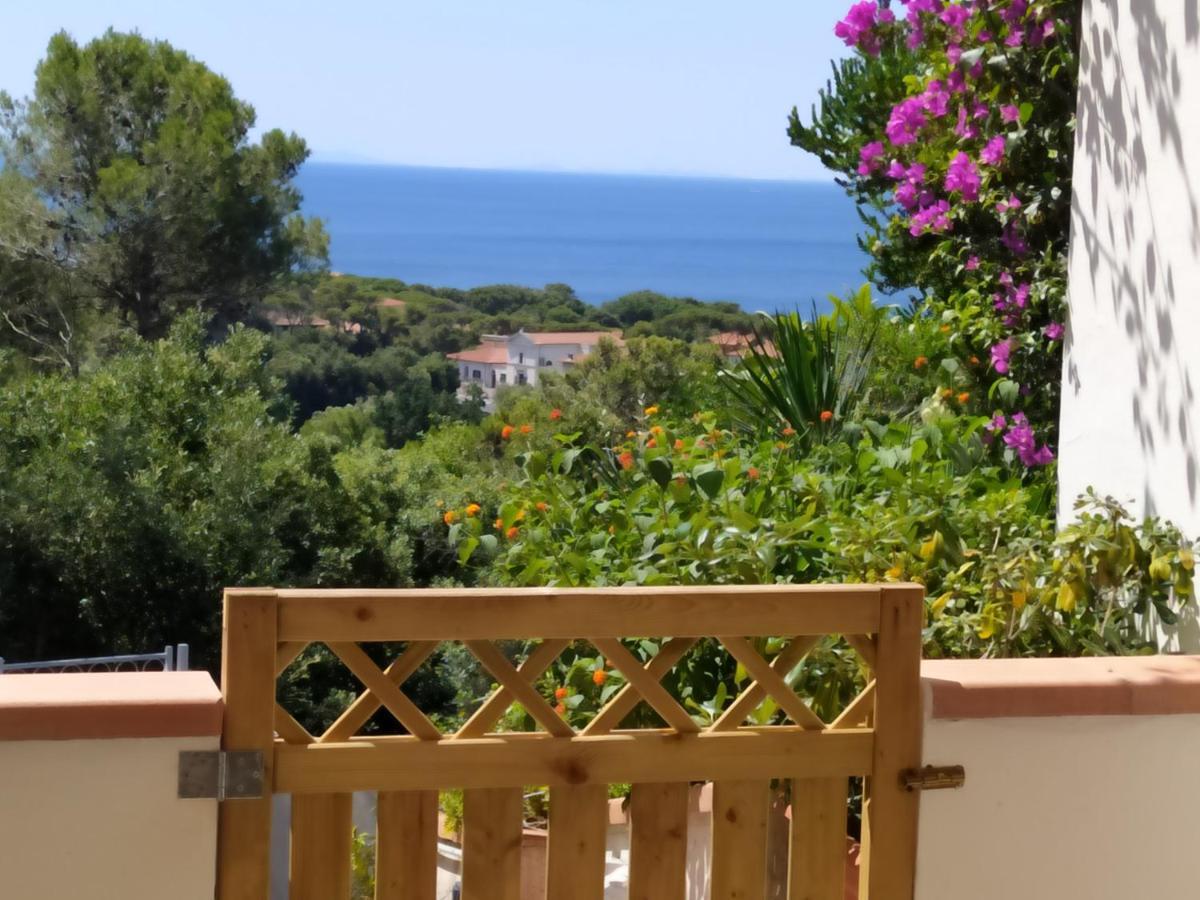 Villa Tra Mare E Bosco Nella Splendida Quercianella Exterior foto
